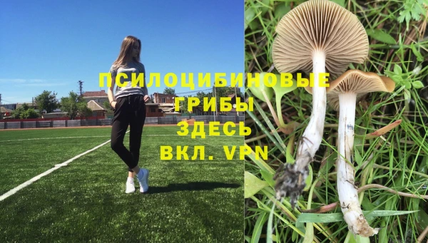 амф Абаза
