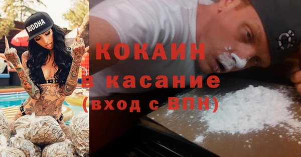 сатива Абинск