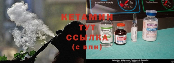 сатива Абинск