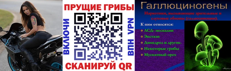 сколько стоит  Грозный  Псилоцибиновые грибы мухоморы 