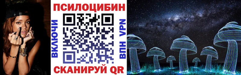 Псилоцибиновые грибы Cubensis Грозный