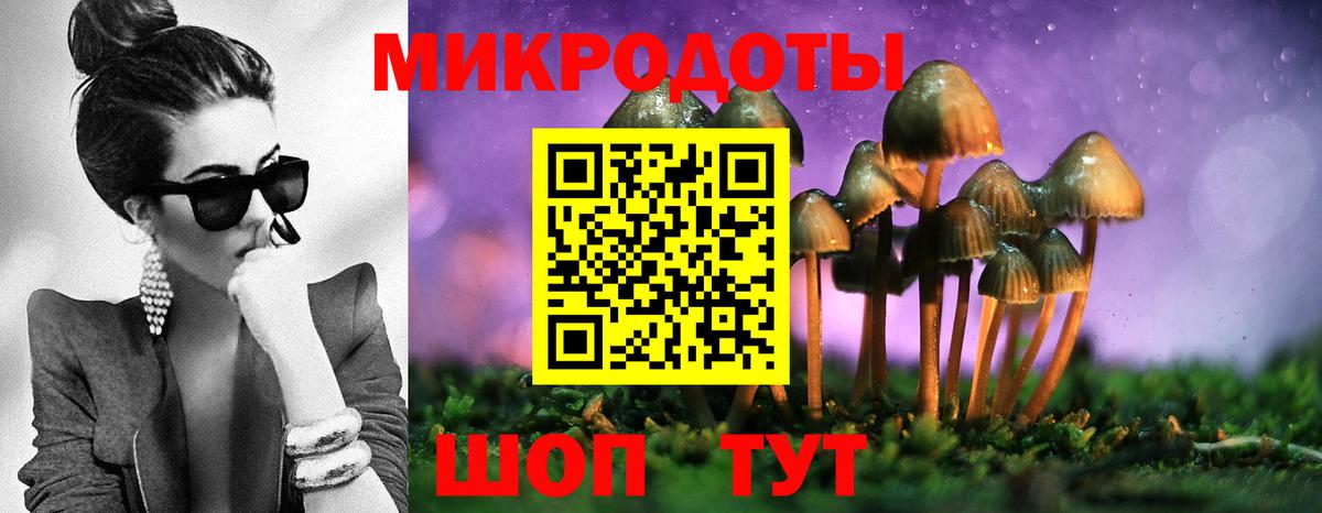Галлюциногенные грибы GOLDEN TEACHER  Галлюциногенные грибы Cubensis  где продают наркотики  Грозный  Вход с VPN 