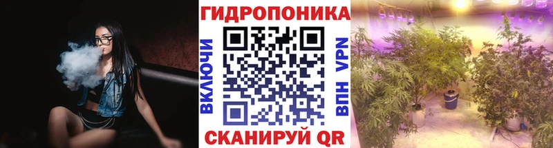 купить   Грозный  Каннабис MAZAR 